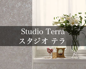 Studio Terra